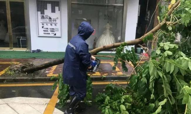 沙瑯鎮(zhèn)：打好防風(fēng)防汛“主動(dòng)戰(zhàn)”，“小網(wǎng)格”實(shí)現(xiàn)“大守護(hù)”